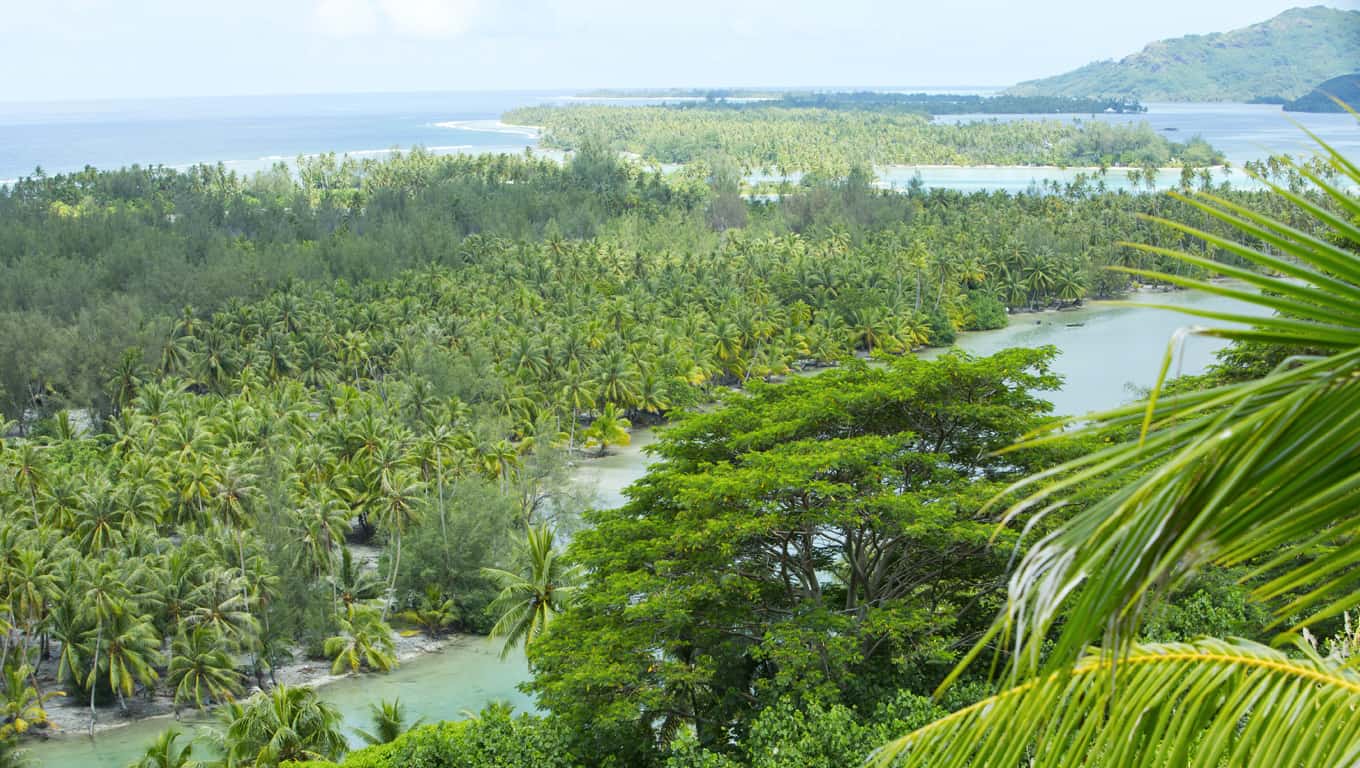 Huahine, French Polynesia